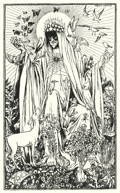 Rotkehlchen von Horace J. Knowles