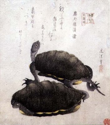 Shinobazu-Teich, aus der Serie 