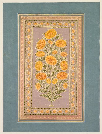 Blühende Ringelblume, ca. 1765 von Hunhar II
