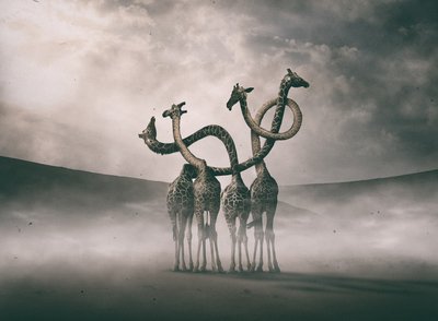 Surreale Giraffenhälse von Hussain Buhligaha