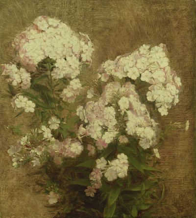 Phlox, 1870 von Ignace Henri Jean Fantin Latour