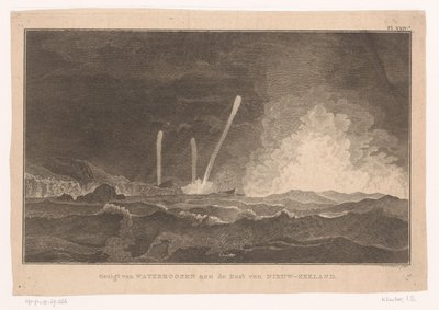 Ansicht von Wasserhosen an der Küste von Neuseeland von Ignaz Sebastian Klauber