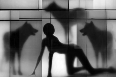 Frau und Wolfsschatten von Igor Shrayer