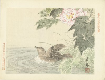 Badender Vogel bei rosa Blume von Imao Keinen