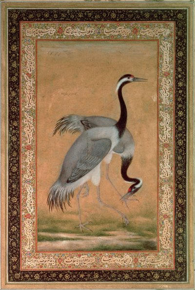 Kraniche von Mansur, Jahangir-Periode, Mughal von Indian School