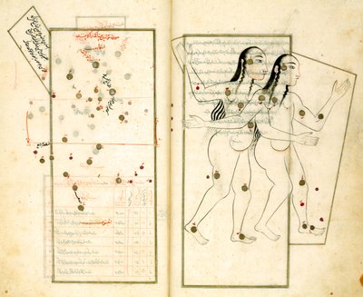 Das Sternbild Zwillinge aus dem Buch der Fixsterne von Al-Sufi von Iranian Master