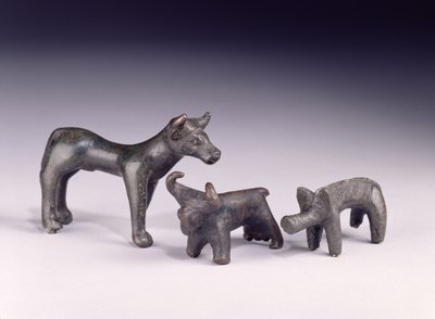 Zwei Stiere aus Ungarn und ein Eber aus der Gower-Höhle, Rhossilly, Südwales, Eisenzeit von Iron Age