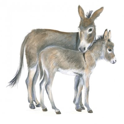Eselin und Fohlen von Isabelle Brent