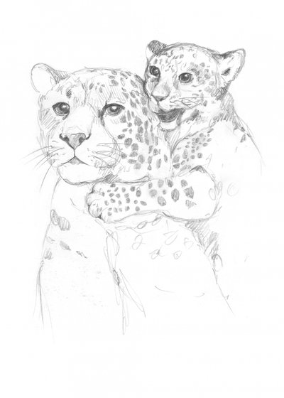 Leoparden von Isabelle Brent