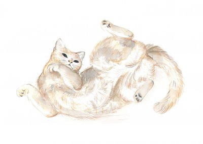 Verspielte Katze von Isabelle Brent