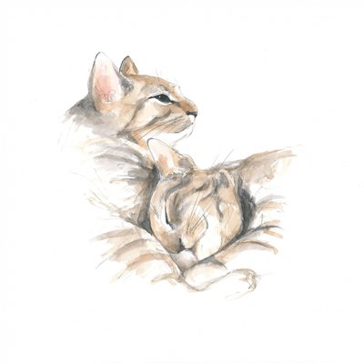 Entspannte Katzen von Isabelle Brent