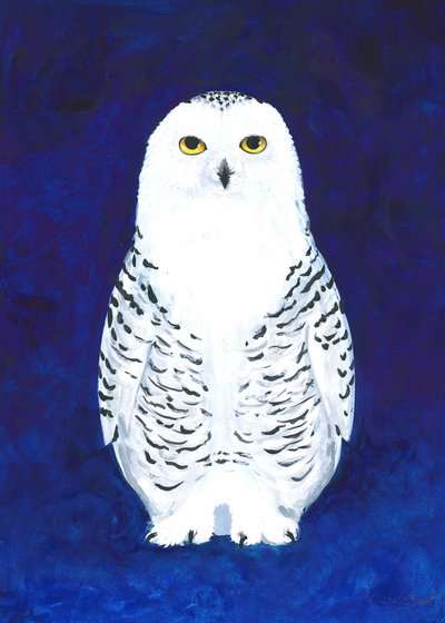 Ernste Schneeeule von Isabelle Brent