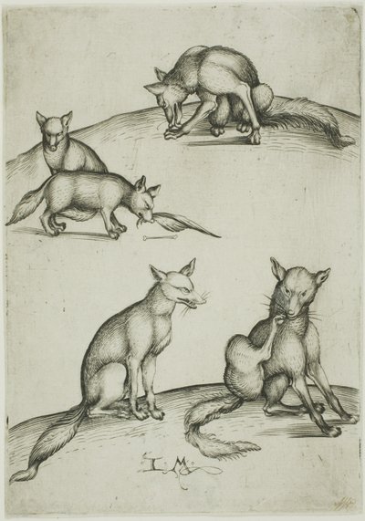 Die Fünf Füchse von Israhel van Meckenem the younger