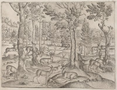 Hirsche im Wald von Italian 16th Century