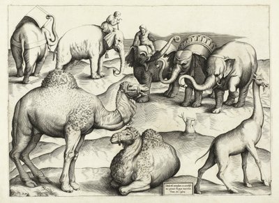 Tiermalereien aus dem antiken Rom, Tafel 3, veröffentlicht von Antonio Lafrere 1528 von Italian School