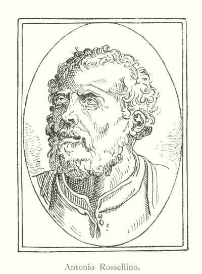 Antonio Rossellino (Stich) von Italian School