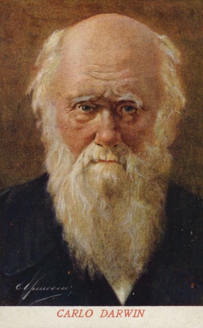 Charles Darwin (1809-1882), englischer Naturforscher von Italian School