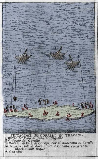 Korallenfischerei im Golf von Trapani in Sizilien, Darstellung kleiner Unterwasserinseln, auf denen Korallenbänke entstehen. Gravur aus „Stato Presente della Sicilia“ von Arcangelo Leanti, Palermo 1761 von Italian School