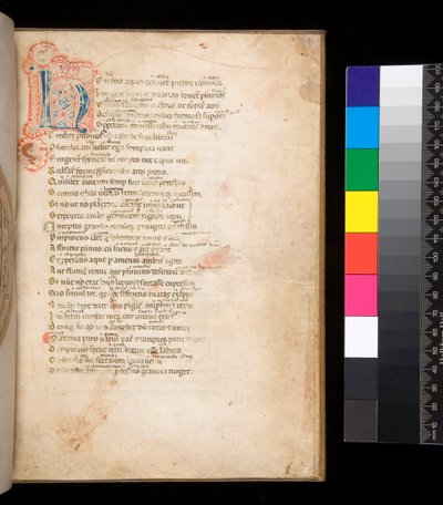 Ms 315. Horaz, Ars Poetica und Epistulae, f.1r. Verzierte Initiale [N] in blau und rot mit umliegendem Federwerk in rot von Italian School