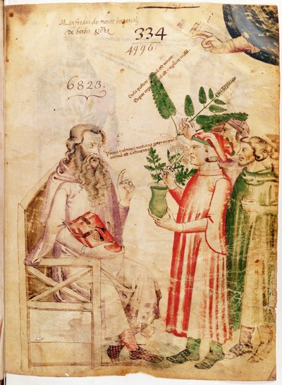 Männer präsentieren Pflanzen einem unbekannten Mann, aus De Herbis von Manfredus de Monte Imperiali von Italian School