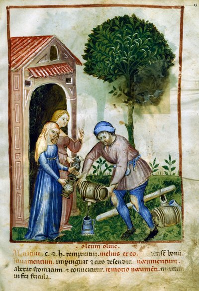 Olivenöl, Miniatur aus Tacuinum Sanitatis von Italian School