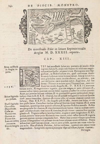 Seite 742 aus Historia De Gentivus Septentrionalibus von Magnus Olaus, Rom 1565 von Italian School