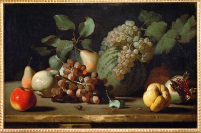 Stillleben mit Trauben und Granatapfel von Italian School