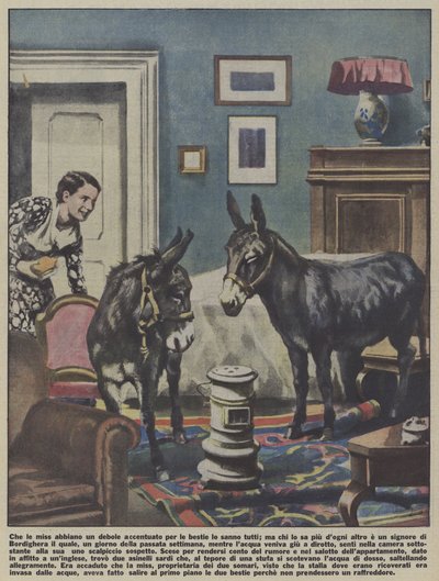 Zwei Esel in einer Wohnung in Bordighera, Italien von Italian School