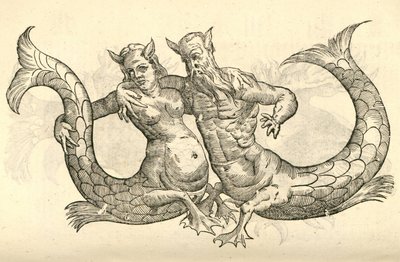 Illustration von Monstra Niliaca Parei aus Aldrovandis Geschichte der Monster, 1642 von Italian School