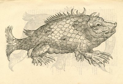 Illustration von Monstrosus Sur marinus aus Aldrovandis Geschichte der Monster, 1642 von Italian School