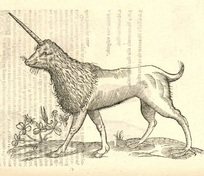 Illustration eines Camphurch aus Aldrovandis Geschichte der Monster, 1642 von Italian School