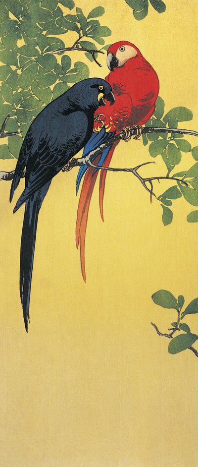Nahaufnahme von zwei Papageien, die auf einem Ast sitzen von Ito Sozan