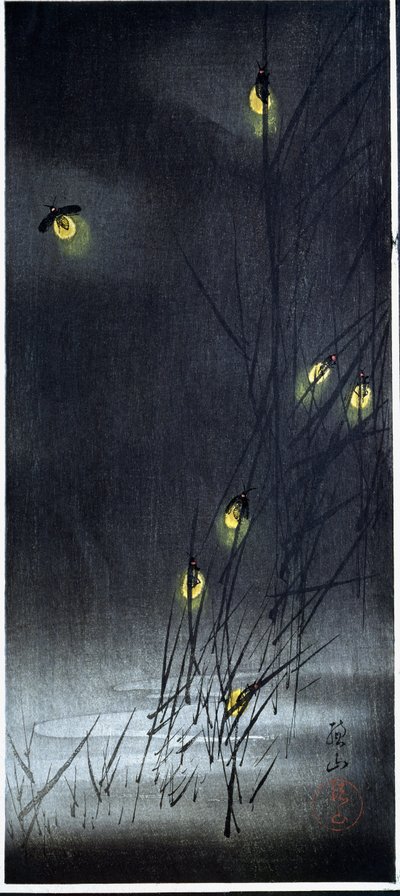 Glühwürmchen in einer Sommernacht. 1930-1950 von Ito Sozan