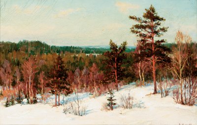 Winter - Blick über den Wald von Ivan Fedorovich Choultse