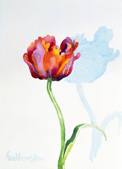 Tulpe, 1998 von Izabella Godlewska de Aranda
