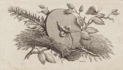 Eine kreisrunde geneigte Scheibe zwischen Blättern und Insekten von J.F. Clemens