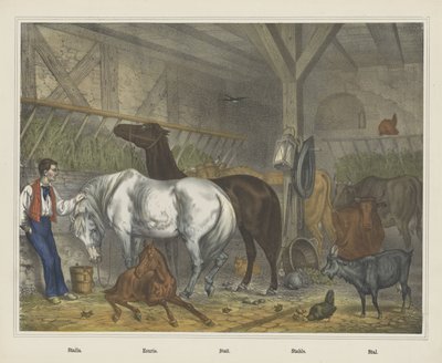 Stall von J. Scotti