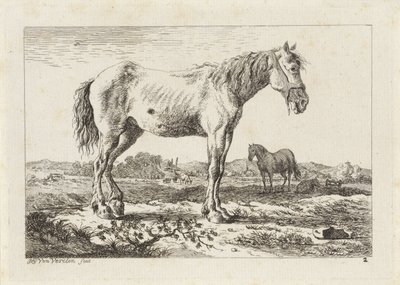 Stehendes Pferd in einer Landschaft von Jacob Elias van Varelen