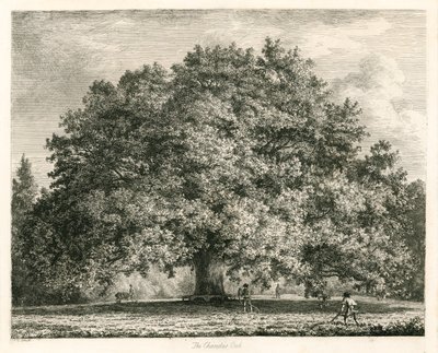 Die Chandos-Eiche, Michendon House, Southgate, London von Jacob George Strutt