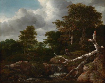Waldszene, ca. 1655 von Jacob van Ruisdael