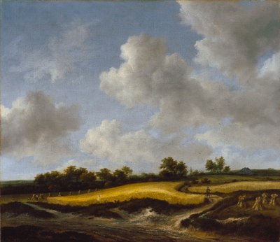 Landschaft mit einem Weizenfeld von Jacob van Ruisdael
