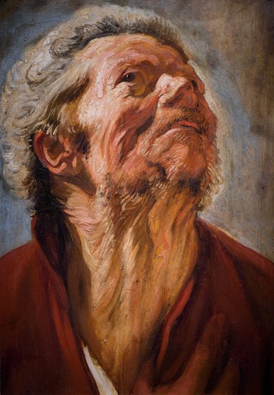 Studienkopf von Jacob Jordaens
