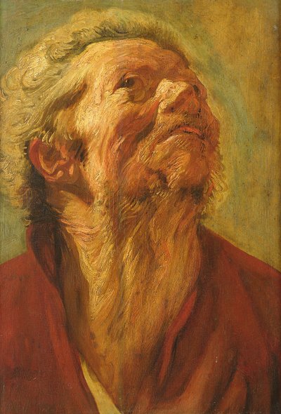 Studie eines Kopfes, oder Kopf eines Apostels, um 1620 von Jacob Jordaens