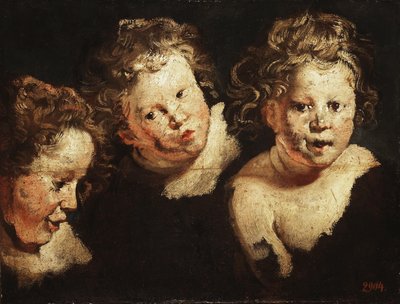 Drei Studien eines Kinderkopfes von Jacob Jordaens