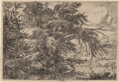 Hütte auf einem Hügel von Jacob van Ruisdael