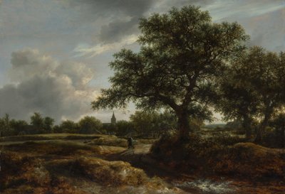 Landschaft mit einem Dorf in der Ferne, 1646 von Jacob van Ruisdael