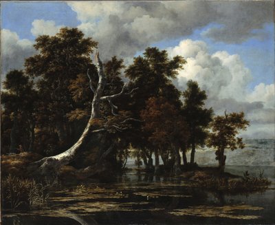 Eichen an einem See mit Seerosen von Jacob van Ruisdael
