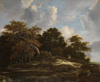 Waldlandschaft mit Hasenjagd von Jacob van Ruisdael