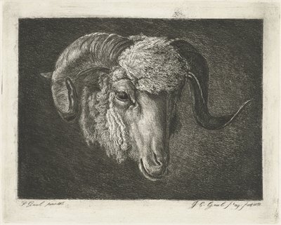 Kopf eines Widders mit gebogenen Hörnern von Jacobus Cornelis Gaal