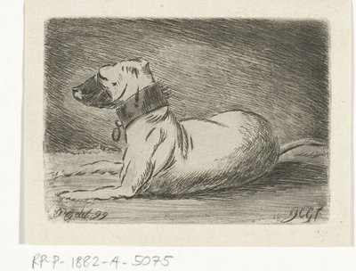 Liegender Hund mit Halsband von Jacobus Cornelis Gaal